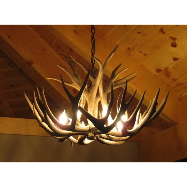 Real Antler Mule Deer Single Tier Chandelier MDST